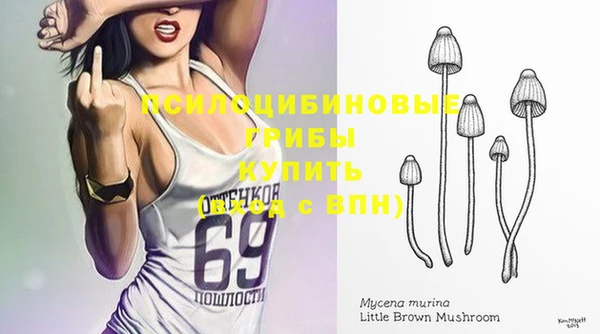 мяу мяу мука Медвежьегорск