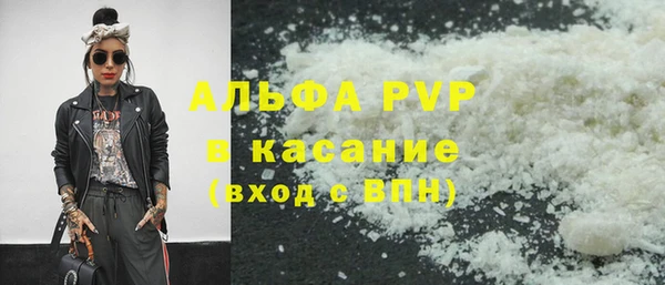 стаф Медногорск