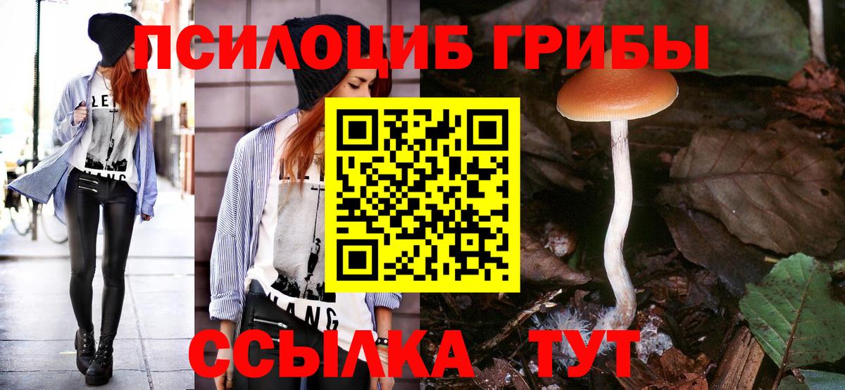 Владивосток  Псилоцибиновые грибы прущие грибы  Вход с VPN  Псилоцибиновые грибы GOLDEN TEACHER 