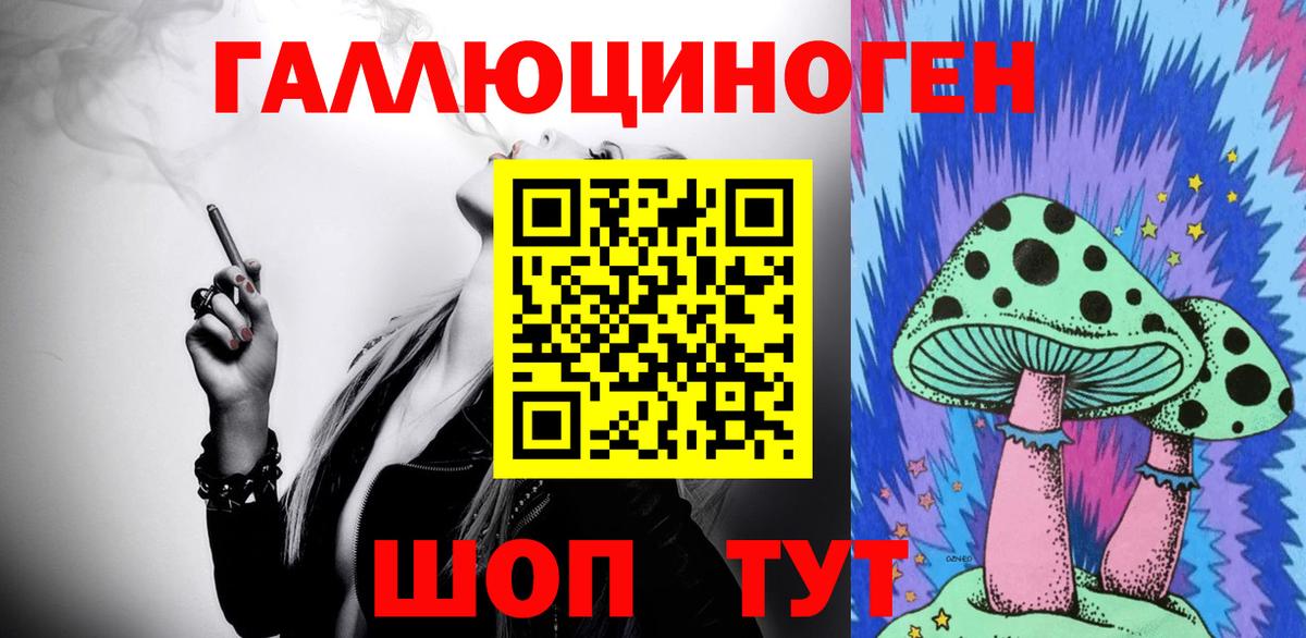 Псилоцибиновые грибы мицелий Владивосток